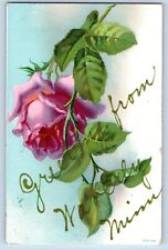 Waverly Minnesota MN Postcard Greetings Flower Pink Rose 1909 Vintage Antique picture