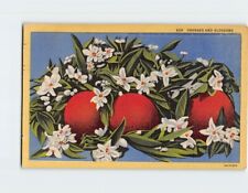 Postcard Oranges and Blossoms picture