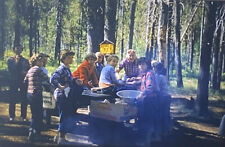 Vintage Photo Slide Kids Campers Forest 1953-54 picture