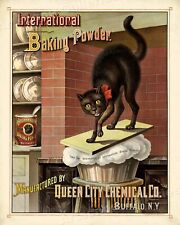 1885 Baking Powder Vintage Style Advertising Poster - 16x20 picture
