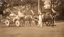 c1910 HORSE DRAWN FLOWER PARADE FLOAT HIGHLY DECORATED PHOTO RPPC POSTCARD P1326 picture