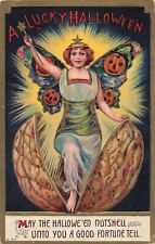Rare Halloween Postcard 1911 Dehli NY Lucky Nutshell Jack o lantern fairy witch picture