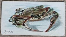1910 T58 American Tobacco Fish Series Crab picture