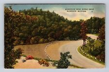 Muskegon MI-Michigan, Scenic Drive Horseshoe Bend, Antique Vintage Postcard picture