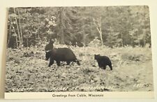 RPPC Northwoods, Black Bears Cable, Wisconsin WI Vintage Real Photo Postcard Z2 picture
