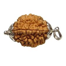 2 TWO MUKHI RUDRAKSHA PENDENT IN SILVER ENERGIZED picture