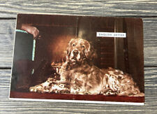 Vintage 1953 Columbus Chevrolet English Setter Dog Promo Ad Flyer Mailer picture