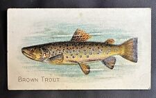 T58 (1910)  Vintage (ATC ) Tobacco Card - Fish Series - Brown Trout - Piedmont picture