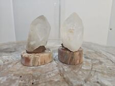 2 Pcs 427g Quartz crystals With 2 Polished Petrified Wood slices from Arizona picture