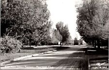 Real Photo Postcard East Main Street Parkway in Montrose, Colorado picture