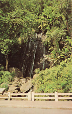 Postcard Beautiful La Coca Waterfall near El Yunque Rainforest Puerto Rico VTG picture