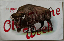 1907 Old Home Week Buffalo NY Postcard / Awesome Buffalo Graphic picture
