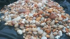 130oz container of agates found on the Oregon coast  picture