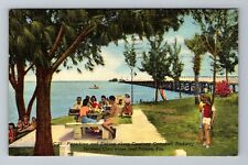 Clearwater FL-Florida Picnicking Courtney Campbell Pkwy Vintage c1952 Postcard picture