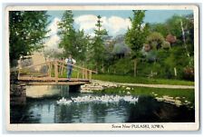 1915 Wooden Bridge Creek Scene Man Standing Ducks Pulaski Iowa Vintage Postcard picture