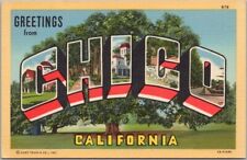 Vintage 1940s CHICO, California Large Letter LINEN Postcard Hooker Oak Tree View picture