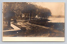 RPPC Fountain Lake Boulevard Horse Carriage Albert Lea Minnesota MN Postcard picture