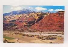Rocky Mountains Fall Leaves Magic Carpet Uncompahgre Mt Sneffels CO Postcard  picture