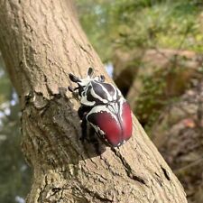 【In-Stock】Animal Heavenly Body Goliath beetle Goliathus goliatus Insect Statue picture