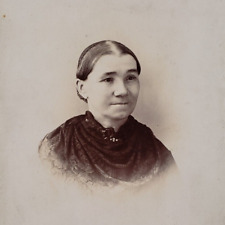 Competent Young Woman Cabinet Card c1885 Photo Chicago Lady Girl Antique IL A735 picture