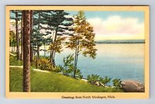 Muskegon MI-Michigan, General Greetings, Scenic Lake View, Vintage Postcard picture