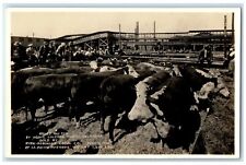 c1930's Raised And Fed Animals Miami Florida FL Vintage RPPC Photo Postcard picture