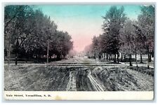 1910 Yale Street Road Trees Vermillion South Dakota SD Vintage Antique Postcard picture