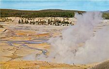 Vintage Postcard Norris Geyser Basin Yellowstone Park Basin Trail Coulter's Hell picture