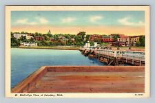 Petoskey MI, Bird's Eye Town View, Pier Bay Period Cars VintageMichigan Postcard picture