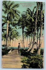 Miami Florida Postcard Royal Palms Cocoanuts Grove Exterior 1913 Vintage Antique picture