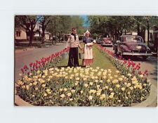 Postcard It's Tulip Time In Holland Every Year In May, Holland, Michigan picture