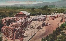 JY Johnson Pigeon Ranch Los Angeles CA Southern Pacific RR c1910s postcard H282 picture