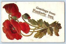 Manchester Iowa IA Postcard Greetings Embossed Flowers And Leaves c1910s Antique picture