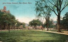 New Haven CT-Connecticut, 1912 Yale College Campus Building, Vintage Postcard picture