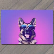 POSTCARD: Cool German Shepherd Sporting Trendy Sunglasses for a Hip Look 🐾🕶️ picture