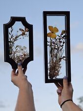 Vintage Flower & Butterfly Taxidermy Art in a Double Glass Framed Shadow Box  picture