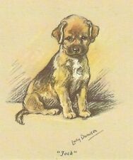Border Terrier Puppy - CUSTOM MATTED - Dog Art Print - Lucy Dawson picture