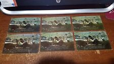 6 Black Hills South Dakota Gold Panner Postcards REAL Gold glued in pan picture