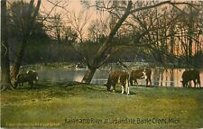 Postcard RPPC Photo Michigan Battle Creek C-1910 Kalamazoo River Smith 23-123 picture
