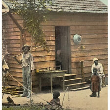 1910s Color Litho Postcard African-American Family Georgia GA Cabin Donkey Mule picture