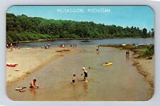 Muskegon MI-Michigan, Aerial Beach Area, Antique, Vintage Postcard picture