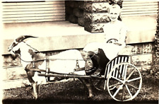 c1910 GIRL BILLY GOAT CART PAULINE AUGSPURGER AZO RPPC POSTCARD P1707 picture