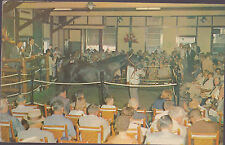 Yearling Sales Keeneland Race Course Lexington Kentucky 1978    # C2 picture