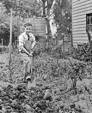 Greensborough Victoria 1936 - A boy digging in a garden Old Historic Photo picture