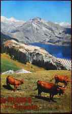Original Poster France Savoie Summer Nature Cows Lake picture