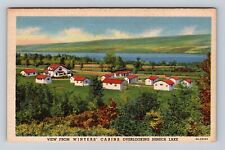 Watkins Glen NY-New York, Winter Insulated Cabins, Seneca Lake, Vintage Postcard picture