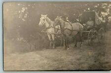 c1904-18 Rppc Horse Postcard Photo Real Buggy Horses Wagon Man Drawn Vintage  picture