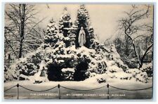 c1950's Our Lady's Grotto St. Joseph Academy Catholic Adrian Michigan Postcard picture