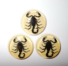Insect Cabochon Black Scorpion 38.5 mm Round inner 35 mm Amber White 3 pcs Lot picture