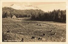 Matanuska Valley Farm, Palmer, Alaska AK - c1940 Real Photo RPPC picture